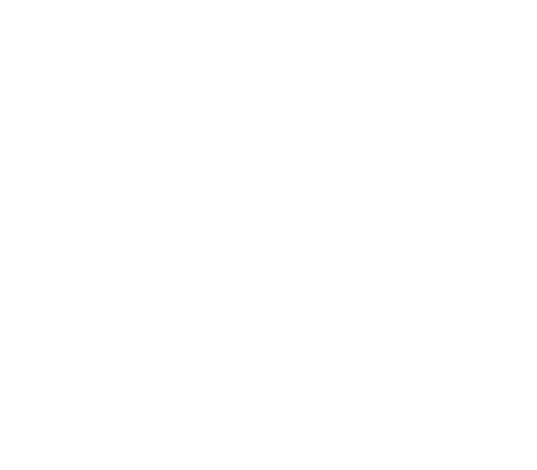 IGEL-Freunde Burg Logo